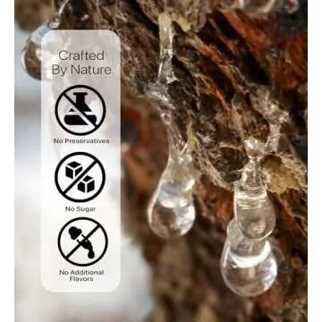 Cerez Pazari Natural Mastic Gum - Greek Chios Pure Gum - Sugarless Gum Made From Resin Of Mastiha Trees - Jaw Exerciser - Vegan, Non-GMO - 0.88 oz