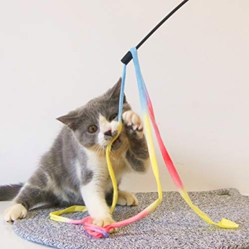 M JJYPET Retractable Cat Wand with Interactive Toys