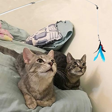 M JJYPET Retractable Cat Wand with Interactive Toys