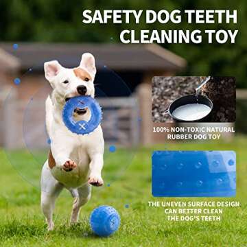 SPOFLY Dog Chew Toys Puppy Teething Ring Teething Ball, Freezable Dog chew Toys, Frozen Puppy Toys Set of 2, Dental Cleaning Toys