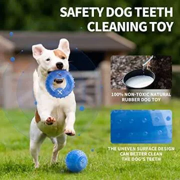 SPOFLY Durable Dog Chew Toys for Teething Puppies