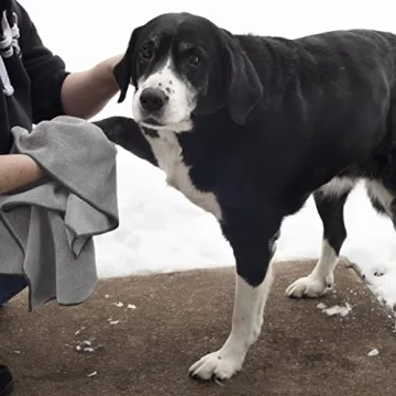 Ritz Premium Pet Towel 3-Pack, Soft & Absorbent