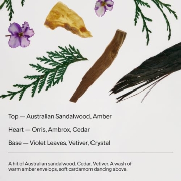 Salt & Stone Extra Strength Natural Deodorant 2.6oz