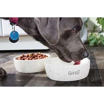 Pearhead Woof Ceramic Dog Bowl, Gifts for Pet Owners, Holds 3 Cups, Dog Gift, Medium Water and Food Dish, Microwave and Dishwasher Safe