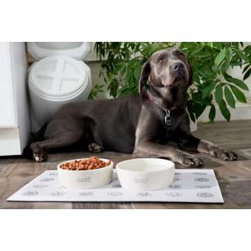 Pearhead Woof Ceramic Dog Bowl, Gifts for Pet Owners, Holds 3 Cups, Dog Gift, Medium Water and Food Dish, Microwave and Dishwasher Safe