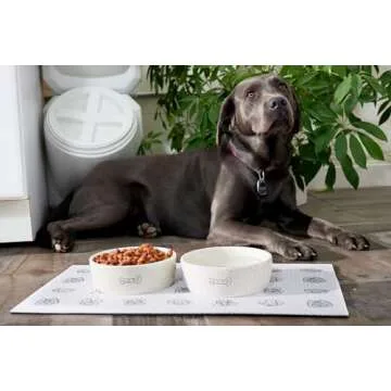 Pearhead Woof Ceramic Dog Bowl, Gifts for Pet Owners, Holds 3 Cups, Dog Gift, Medium Water and Food Dish, Microwave and Dishwasher Safe