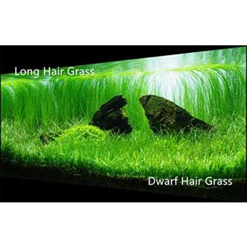 3 Pack Fish Tank Aquarium Plant Seed Set - Eco-Friendly Decor