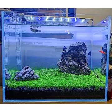 3 Pack Fish Tank Aquarium Plant Seed Set - Eco-Friendly Decor