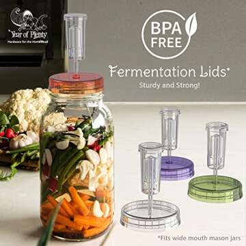 Fermentation Lids | 4-Pack | Multi-Colored | Year of Plenty