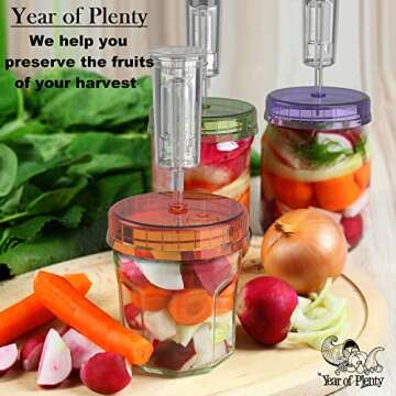 Fermentation Lids | 4-Pack | Multi-Colored | Year of Plenty