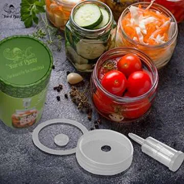 Fermentation Lids | 4-Pack | Multi-Colored | Year of Plenty