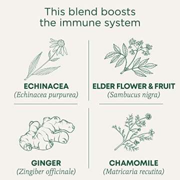 Traditional Medicinals Tea, Organic Echinacea Plus Elderberry, Boosts the Immune System, 16 Tea Bags