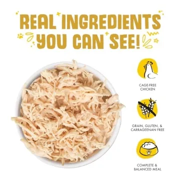 Weruva Classic Cat Food Paw Lickin’ Chicken in Gravy