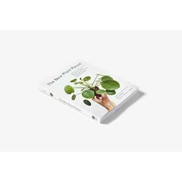 The New Plant Parent Guide to House-Plant Care