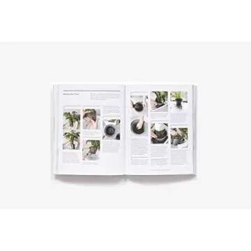 The New Plant Parent Guide to House-Plant Care