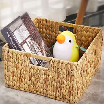 Stylish HOONEX Water Hyacinth Storage Baskets