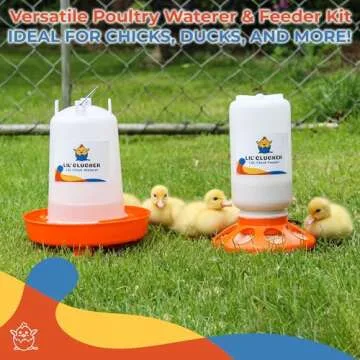 Lil'Clucker Chick Feeder and Waterer Set for Baby Fowl