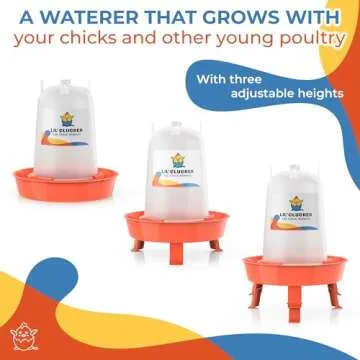 Lil'Clucker Chick Feeder and Waterer Set for Baby Fowl
