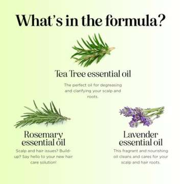 Clarifying Shampoo for Build Up & Oily Hair - Tea Tree Shampoo for Men and Women with Rosemary Essential Oil for Oily Hair and Scalp - Color Safe Vegan Sulfate Silicone & Paraben Free (8 Fl Oz)