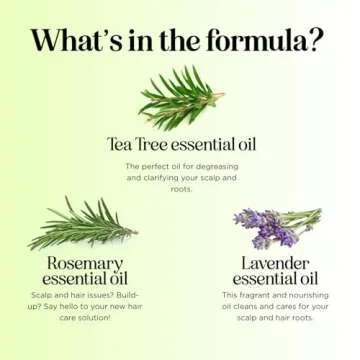 Clarifying Shampoo for Build Up & Oily Hair - Tea Tree Shampoo for Men and Women with Rosemary Essential Oil for Oily Hair and Scalp - Color Safe Vegan Sulfate Silicone & Paraben Free (8 Fl Oz)