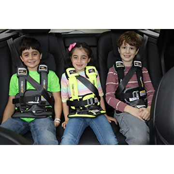 RideSafer Lightweight Portable Car Seat for Travel