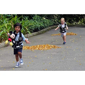 RideSafer Lightweight Portable Car Seat for Travel