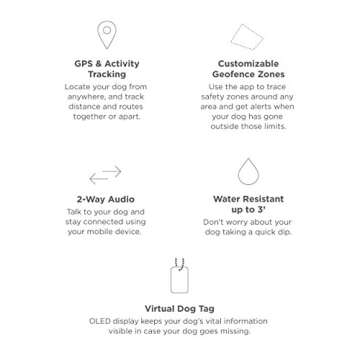 Smart Dog Collar: GPS Tracking & Two-Way Audio Device - Violet