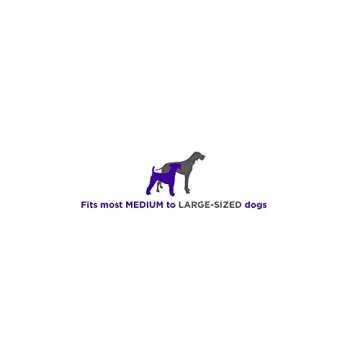Smart Dog Collar: GPS Tracking & Two-Way Audio Device - Violet