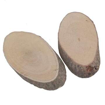 RDEXP Natural Pine Wood Discs for Crafts Pack of 100