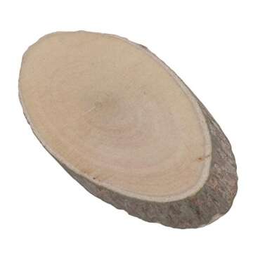 RDEXP Natural Pine Wood Discs for Crafts Pack of 100
