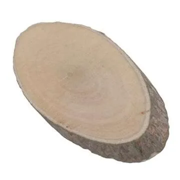 RDEXP Natural Pine Wood Discs for Crafts Pack of 100