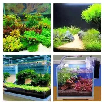 5 in 1 Aquascaping Tools Kit for Aquarium Maintenance