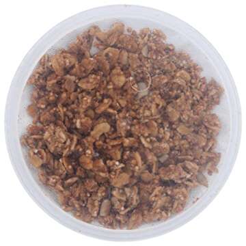 PURELY ELIZABETH Blueberry Lemon Vibrant Oats, 2 OZ