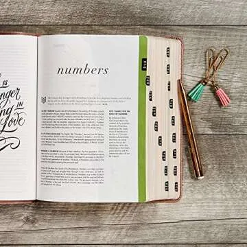 CSB She Reads Truth Bible, Rose Gold LeatherTouch, Indexed, Black Letter, Full-Color Design, Wide Margins, Journaling Space, Devotionals, Reading Plans, Single-Column, Easy-to-Read Bible Serif Type