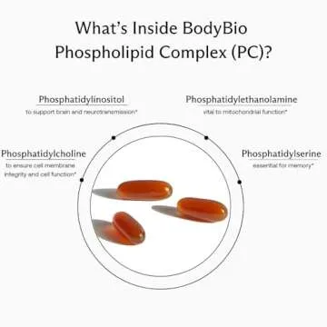 BodyBio Phospholipid Complex 100 Softgels - Cognitive Enhancer - Healthy Brain, Anti Aging and Cellular Support Supplement