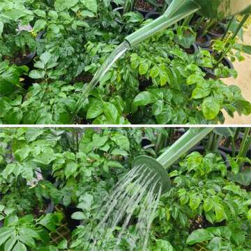 Chic BFA Plant Watering Can for Indoor & Outdoor Plants