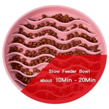 PJDH Safe Silicone Slow Feeder Dog Bowl for Healthy Eating