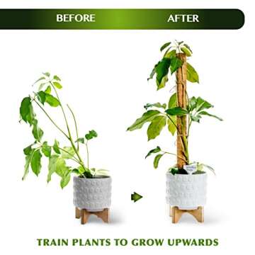 Voorjaar Moss Poles for Climbing Plants Monstera, 27 Inches 2 Pcs Indoor Plant Stakes to Support Upward Growth - Extendable 16" Coco Coir Poles with 4 Jute Strings and 10 Plant Labels