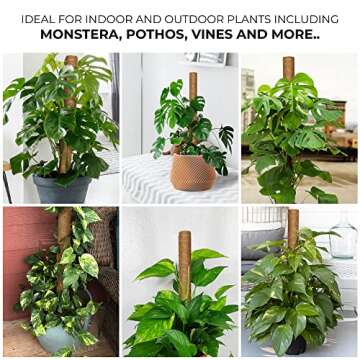 Voorjaar Moss Poles for Climbing Plants Monstera, 27 Inches 2 Pcs Indoor Plant Stakes to Support Upward Growth - Extendable 16" Coco Coir Poles with 4 Jute Strings and 10 Plant Labels