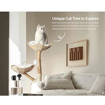 Injollylives Modern Cat Tree, Wooden Cat Tower, Aesthetic Cat Tree Tower for Large Cats, Unique Heavy Duty Cat Tree with Real Wood Branches, Luxury Boho Cat Furniture