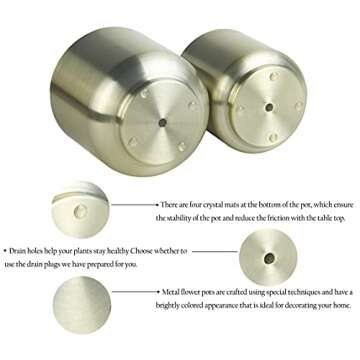 Vixdonos Brushed Gold Plated Plant Pots Indoor, 6/5.2 Inch Pack 2 Metal Planter Flower Pots with Drainage Hole (Champagne Gold)