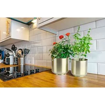 Vixdonos Brushed Gold Plated Plant Pots Indoor, 6/5.2 Inch Pack 2 Metal Planter Flower Pots with Drainage Hole (Champagne Gold)