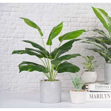 Buy JC Nateva 16" Tall Artificial Potted Plants Online