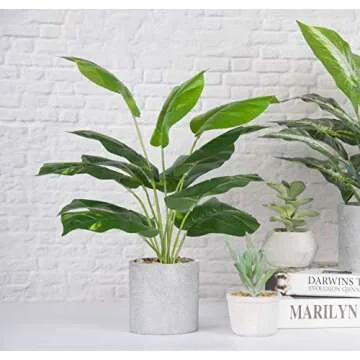 Buy JC Nateva 16" Tall Artificial Potted Plants Online