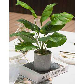 Buy JC Nateva 16" Tall Artificial Potted Plants Online