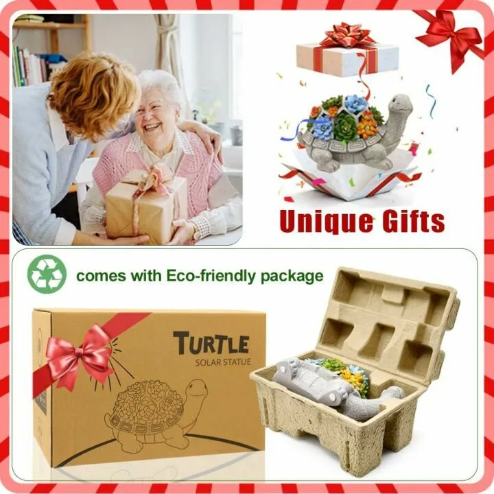 Nacome Solar Turtle Garden Statue with Succulents