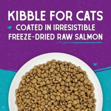 Stella & Chewy's Raw Coated Kibble Cat Food - Salmon Recipe