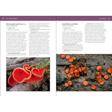 Mushroom Guide for Southeastern Foragers and Lovers