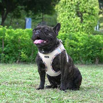 AMTOR Small Dog Harness and Leash Set, Easy Walk Reflective