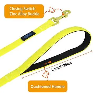 Vivifying Long Dog Leash, 20ft Waterproof Training Lead